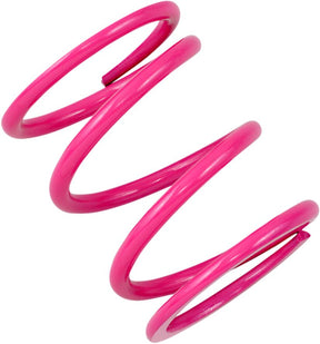 Epi Spring Clutch Primary Pol