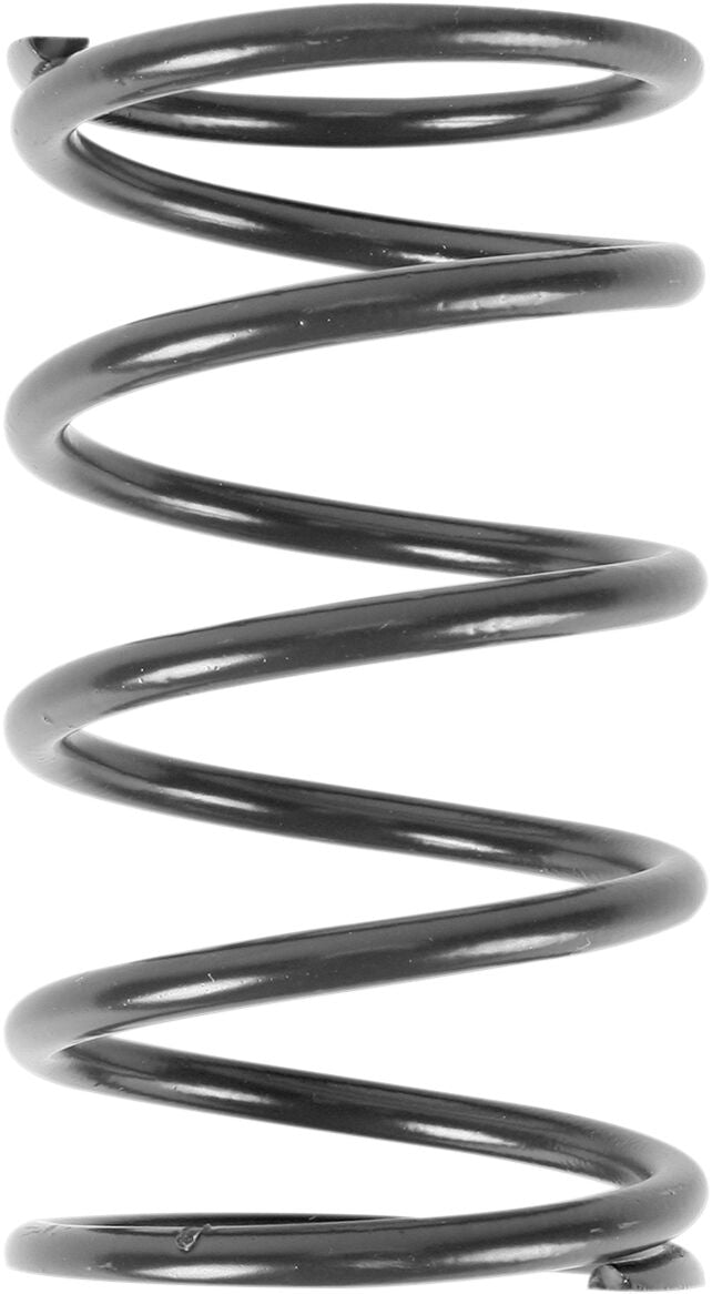 Epi Spring Clutch Primary Pol