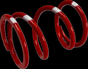 Moose Offroad Four Wheel Primary Clutch Spring (Red/Blu