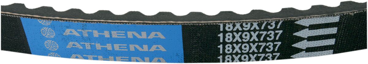Athena Belt Tran 18 X9 X737