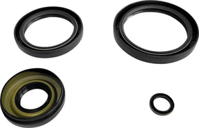 Epi Differential Seal Kit Fr