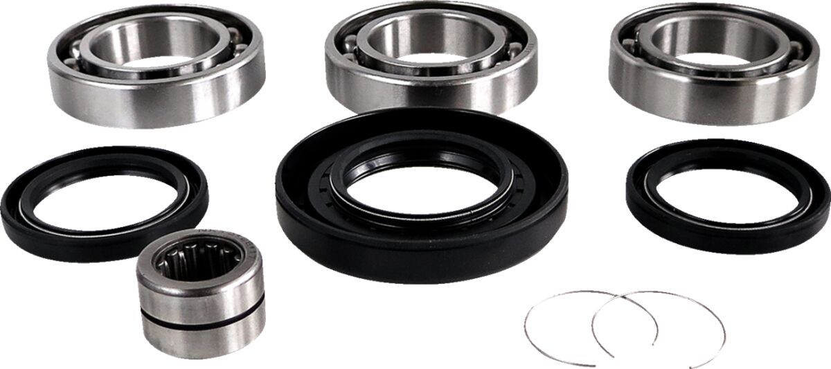 Epi Dif Bearing & Seal Kit Rr