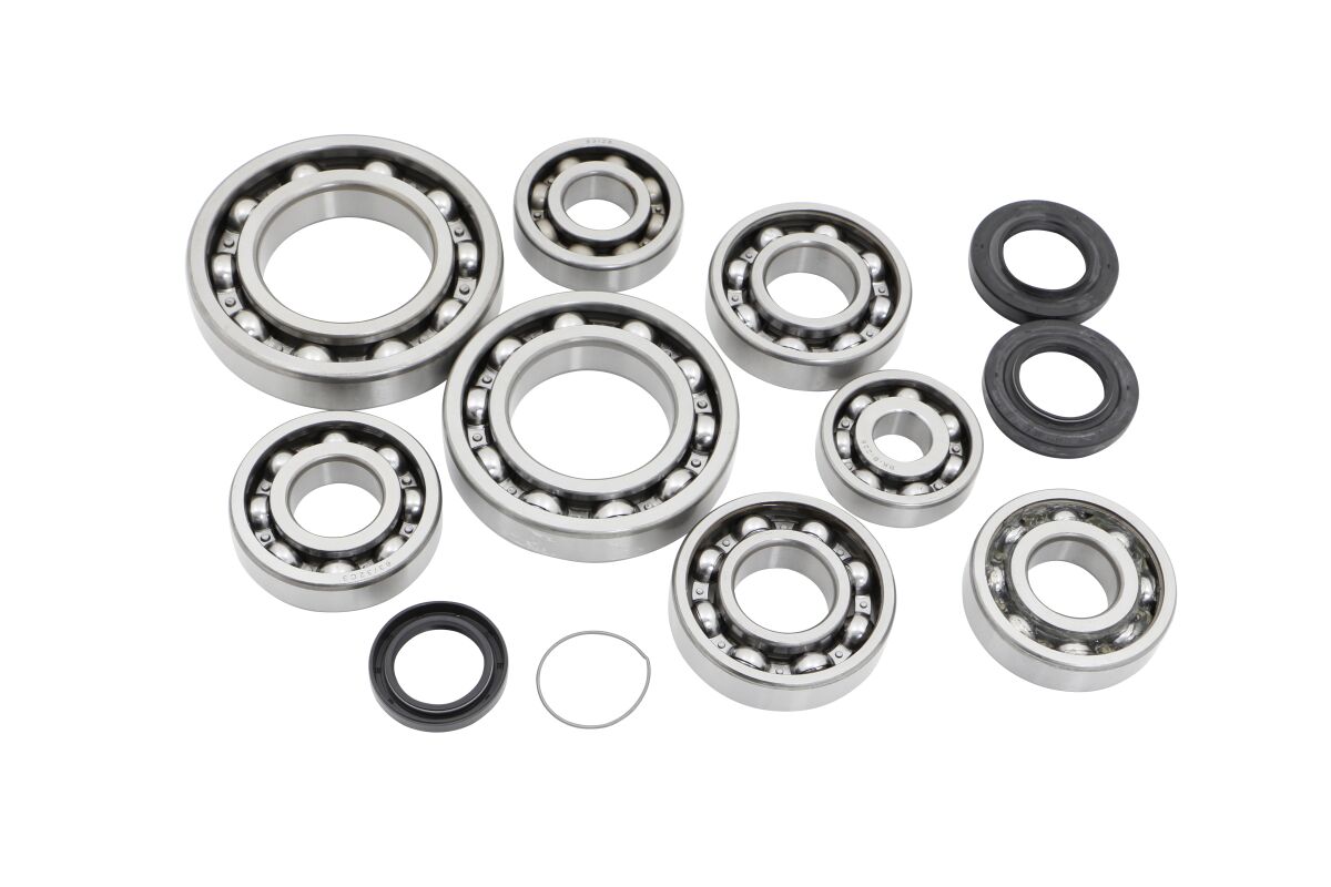 Epi Dif Bearing & Seal Kit Rear