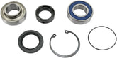 All Balls Chaincase Bearing Seal Kt