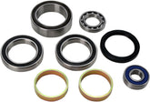 All Balls Chaincase Bearing Seal Kt