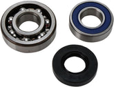 All Balls Chaincase Bearing Seal Kt