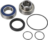 All Balls Chaincase Bearing Seal Kt