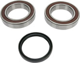 All Balls Chaincase Bearing Seal Kt
