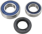 All Balls Chaincase Bearing Seal Kt