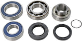 All Balls Chaincase Bearing Seal Kt