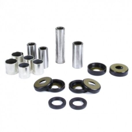 Prox Swingarm Linkage Bearing Kit Y