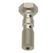 Trw Banjo Bolt Dbl M10x1.0 Sl