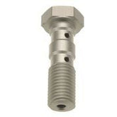 Trw Banjo Bolt Dbl M10x1.25 S