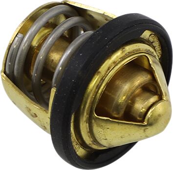 All Balls Thermostat Polaris