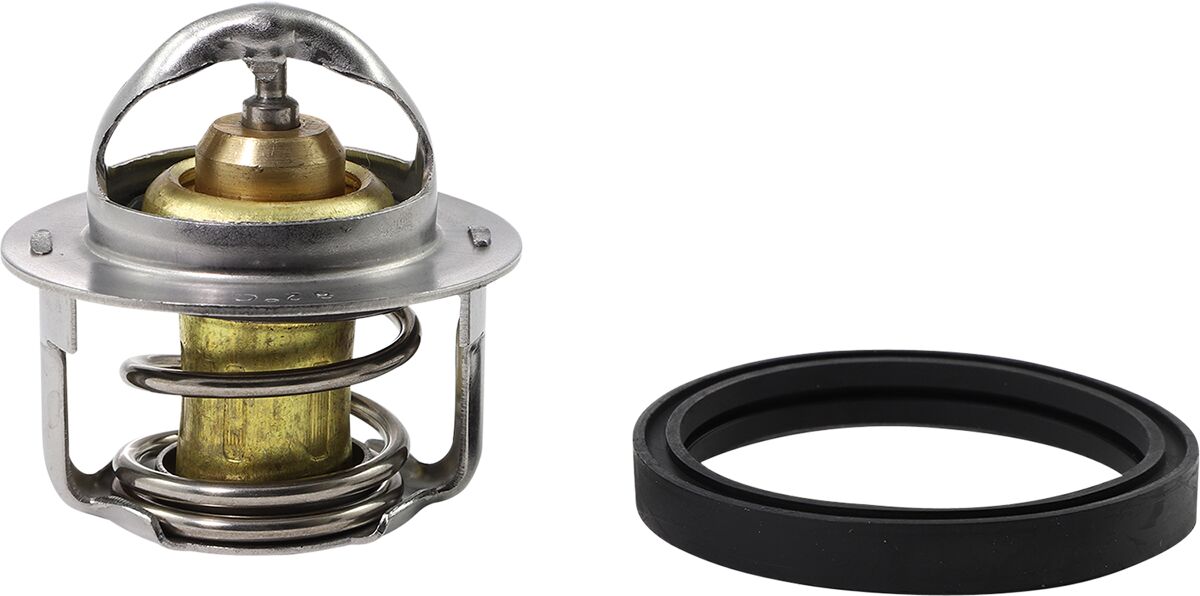 All Balls Thermostat Polaris