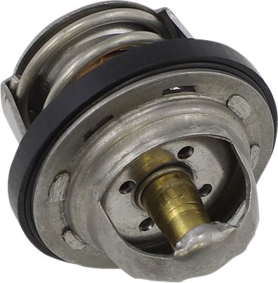 All Balls Thermostat Polaris