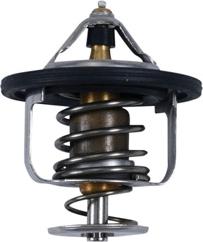 All Balls Thermostat Polaris