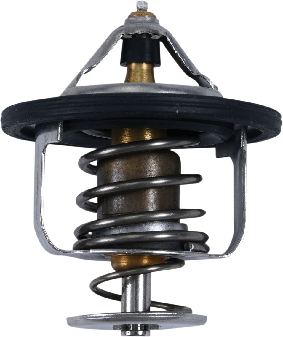 All Balls Thermostat Polaris