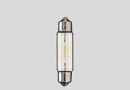 Flosser Bulb 12 V10 W Sv8 5 11 X40 Mm 10 Pk