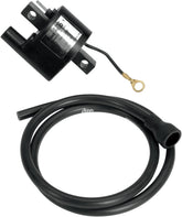 Rick's Motorsport Electric H/S Polaris Ign Coil