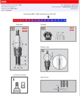 Champion Champion S Plug 8698 1