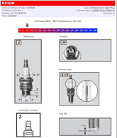 Champion Champion S Plug Rj19 Lm