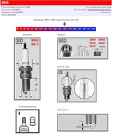 Champion Champion S Plug 8809