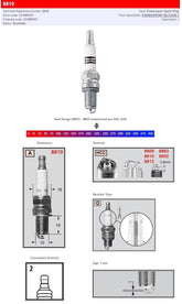 Champion Champion S Plug 8810