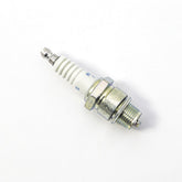 Ngk Spark Plugs Spark Plug Ngk Br9 Ecs
