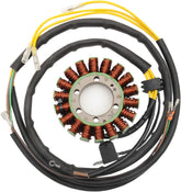 Rick's Motorsport Electric Stator Polaris