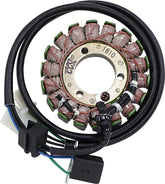 Rick's Motorsport Electric Stator Suzuki