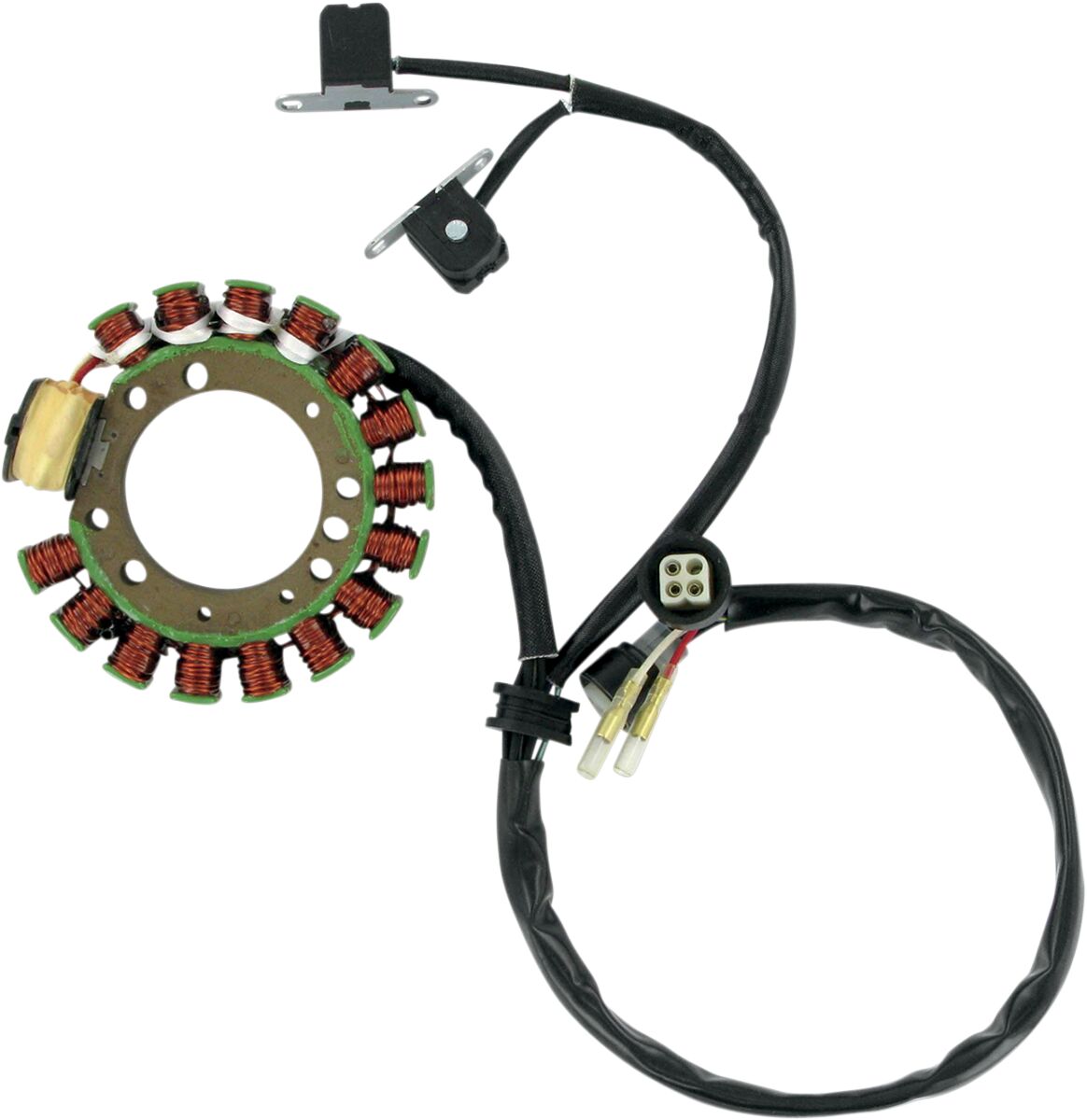 Rick's Motorsport Electric Stator Yamaha