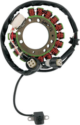 Rick's Motorsport Electric Stator Rebuild Yamaha