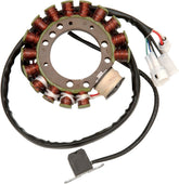 Rick's Motorsport Electric Stator Yamaha