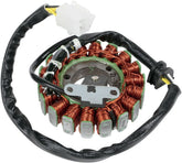 Rick's Motorsport Electric Stator H.O. Kawasaki