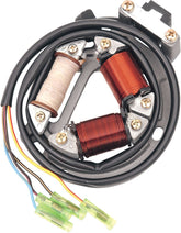 Rick's Motorsport Electric Stator H.O. Suzuki