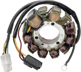 Rick's Motorsport Electric Stator Arctic Cat