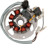 Rick's Motorsport Electric Stator Polaris