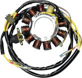 Rick's Motorsport Electric Stator Polaris