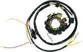 Rick's Motorsport Electric Stator Polaris