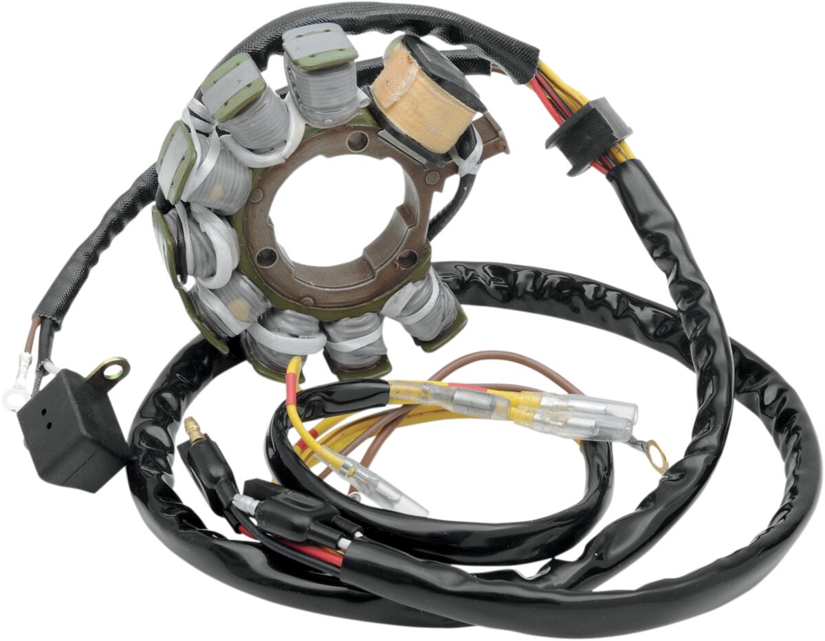 Rick's Motorsport Electric Stator Polaris