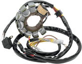 Rick's Motorsport Electric Stator Polaris