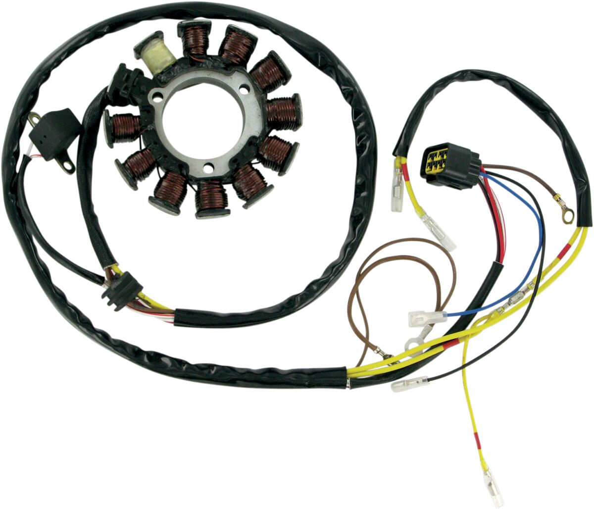 Rick's Motorsport Electric Stator Polaris Late