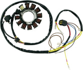 Rick's Motorsport Electric Stator Polaris Late