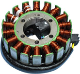 Rick's Motorsport Electric Stator Polaris