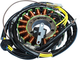 Rick's Motorsport Electric Stator Polaris