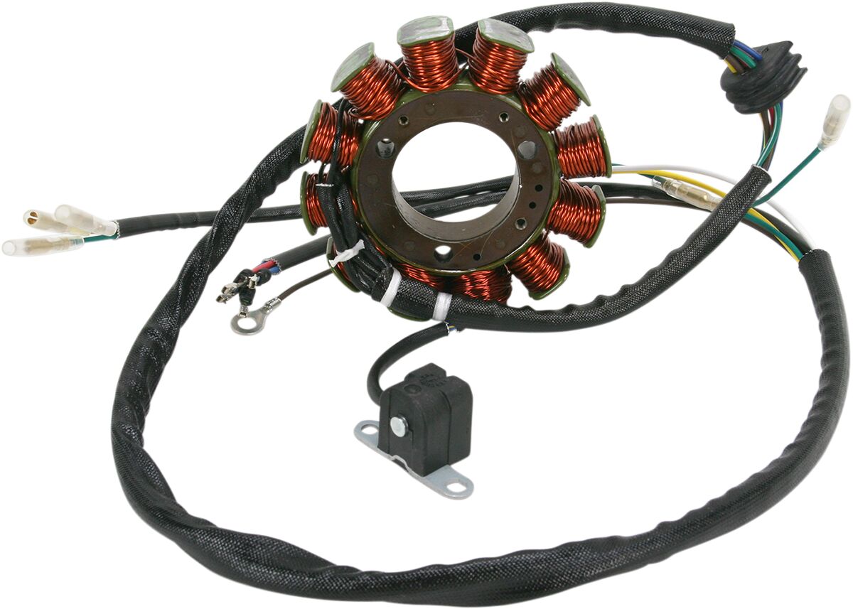 Rick's Motorsport Electric Stator Polaris