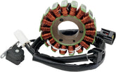 Rick's Motorsport Electric Stator H.O Suzuki