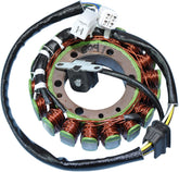 Rick's Motorsport Electric Stator Suzuki