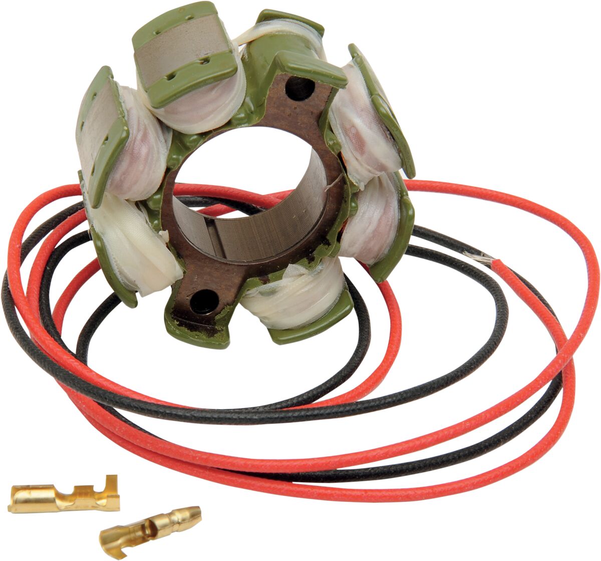 Rick's Motorsport Electric Stator Suzuki